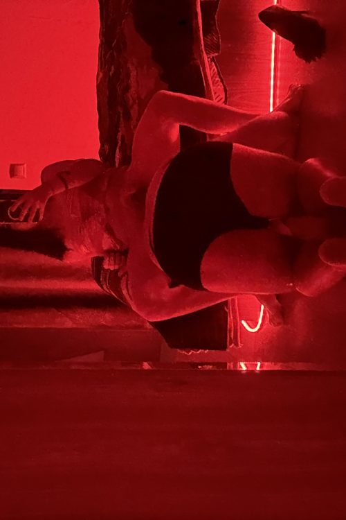 🔥Trans- Virt