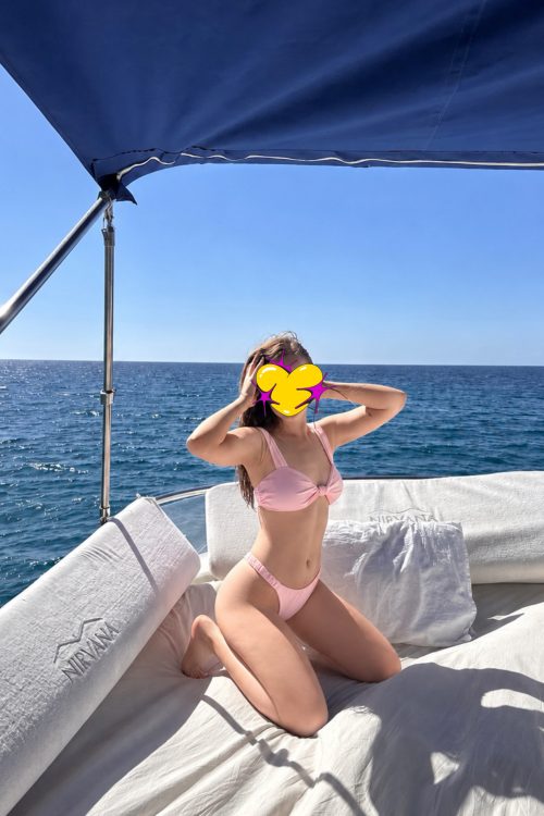 Vlada