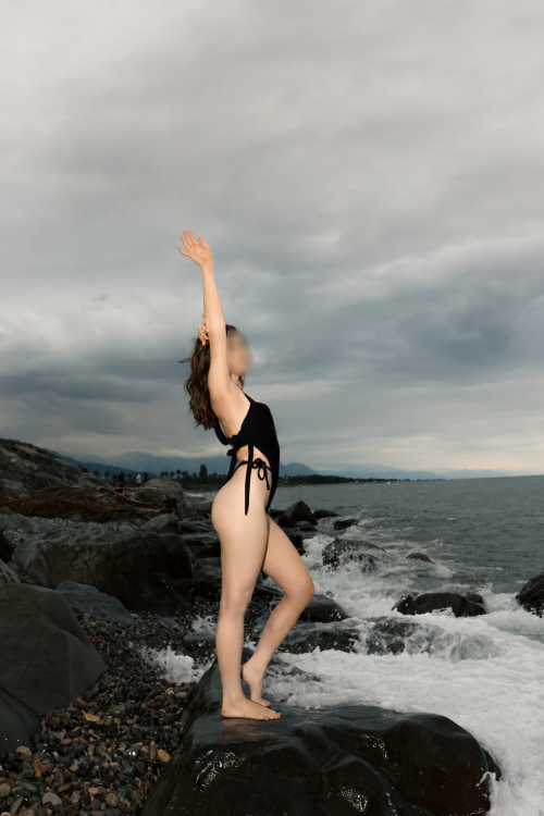 Vlada